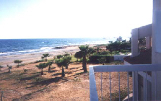beach maisonette larnaca view.jpg (21610 bytes)