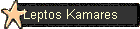 Leptos Kamares