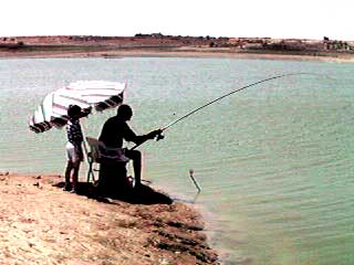 Carp fishing 11.JPG (18135 bytes)