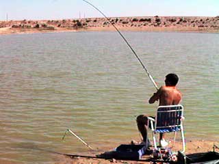 Carp fishing 9.JPG (17151 bytes)