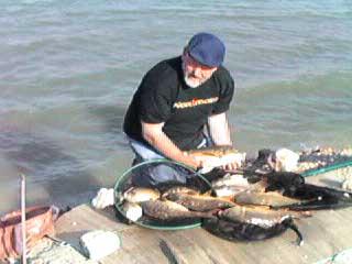 Fishermen in cyprus 25.JPG (17024 bytes)