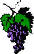 Grape.wmf (8552 bytes)