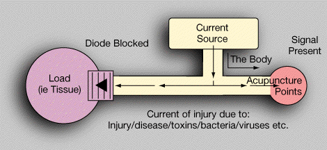 Diagram 2 - Injury Present