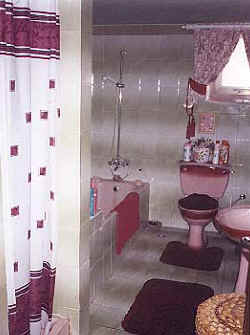 Pink room bathroom - property for sale in cyprus.JPG (21816 bytes)
