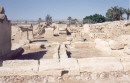 Dig in Cyprus - Ancient Kitium
