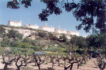 back view from pissouri villa in cyprus.jpg (45452 bytes)
