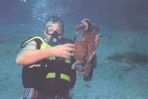 diver_swims_with_octopus_in_cyprus.JPG