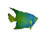 fish.gif (80075 bytes)
