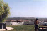 Green grass in the drought in Cyprus