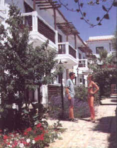 larnaca self catering.jpg (35636 bytes)