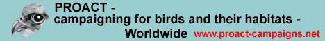 Campaigning for birds and their habitats worldwide.